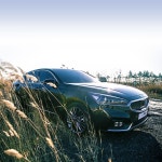 눈부신 #겨울 #햇살 을 맞으며 #갈대 밭을 달리는 #기아자동차 #ALL_NEW_K7   #KIA #motors ALL NEW K7 ( #Cadenza ) is #driving... 
