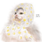 Pin page 무지개예 보배진 on Instagram: “고양이도 우비가 필요해 --------------------- . . . #아이패드그림 #아이패드프로3세대... 
