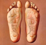 Anatomie에 관한 10개의 최상의 Pinterest 이미지 | 건강과 피트니스, 지압 및 건강 팁 Anatomie