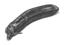 가지 소묘 드로잉 (미도움미술학원)