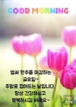 벌써 한주를 마감하는 금요일~
