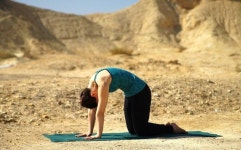 Yoga에 관한 37개의 최상의 Pinterest 이미지 | 요가 운동, 운동 및 건강과 피트니스 Yoga