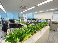 ECO PEOPLE 에코피플 : 그린테리어 토탈 케어 솔루션 ECO PEOPLE 에코피플 : 그린테리어 토탈 케어 솔루션 | 사무 공간, 조경, 디자인