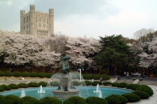 경희대학교 (KyungHee University) | 대학, 대학교