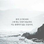 Wise saying(2.0)에 있는 Cuslee님의 핀 | 현명 인용구, 최고의 명언, 인내 명언