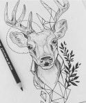 Pin van 행화 김 op 1 | Hert tattoo, Herten tekening, Herten kunst