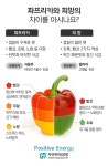 피망 Vs 파프리카, 비슷하게 생겼는데 왜 이름이 다를까? 피망 Vs 파프리카, 비슷하게 생겼는데 왜 이름이 다를까? | Stuffed... 
