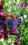 Farms에 관한 15개의 최상의 Pinterest 이미지 | 귀여운 동물, 농장 동물 및 시골 생활 Farms