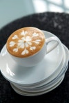TOP Art: Art in a Cup - Latte art master Peter Hernou (2) | 라떼아트, 커피 아트, 커피