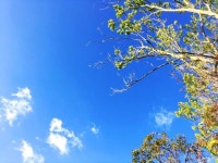 부산시민공원 나들이 | 블로그