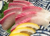 sushi & sashimi에 있는 jason lee님의 핀