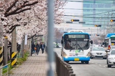 한국 버스에 있는 무진 정님의 핀 - 2020(이미지 포함) | 신호등, 전봇대, 한국