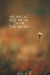Wise saying에 있는 Cuslee님의 핀 - 2020