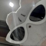 Pin page منشورات من خلالك에 있는 🪼님의 핀 - 2024 | 귀여운 인형 동물, 프로필 사진 아이디어, 헬로키티 배경화면