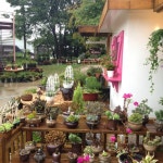 영일 허브랜드^_^