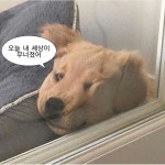 오늘내세상이무너졌어。