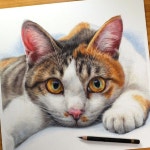 Pin page Pin on 색연필 in 2024 | Art tutorials, Art, Tutorial