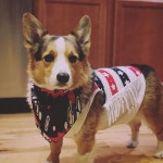 반려동물_  의상_ 캐쥬얼1에 있는 명섭 서님의 핀