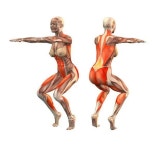 Yoga에 관한 18개의 최상의 Pinterest 이미지 | 요가 운동, 요가 순서 및 건강과 피트니스 Yoga