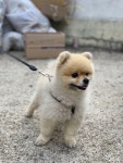 에이이엔디자인에 있는 CHO SungRae님의 핀 - 2021