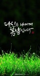 봄날 캘리그라피 - 2022 | 잔디, 봄 꽃, 사진