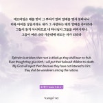 호세아 9:16-17