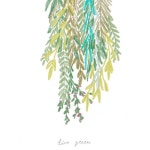 3. Illu &Arts에 있는 parrot moon님의 핀 | 꽃그림, 색연필, 꽃