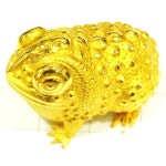 금두꺼비에 있는 제욱 이님의 핀 | 두꺼비, 돌 반지, 색상 팔레트