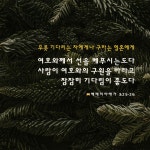 예레미야애가 3:25-26 무릇 기다리는 자에게나 구하는 영혼에게 여호와께서 선을 베푸시는도다 사람이 여호와의 구원을 바라고... 