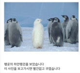 문과 갬성