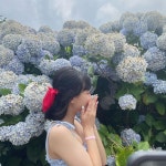 Instagram의 EUNJIN님: “제주 이틀🌺 . . . . . . . . . #셀스타그램 #좋아요테러 #좋테 #좋아요 #좋반 #좋아요반사 #인친 #다이렉트 #일상... 