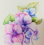 색연필 꽃그림