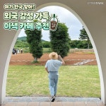 | 서울 한국에서 즐기는해외 분위기 가득한 카페에서갬성 가득가득 챙겨오자⠀루카511서울 강남구 도산대로81길 4011:30~22:00 (15:...... 