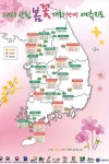 2023년 봄꽃·벚꽃 개화시기 전국명소지도