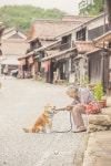 YASUTO on Twitter | 애견, 강아지, 고양이