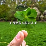 Pin page ★ 행운을 드립니다 ★  여러분에게 다섯 닢 클로버에 행운을 드립니다  1 건강  이것저것 건강에 좋은 것 챙긴다고 챙겼는데도... 