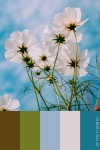 30 New Color Palettes for Creative Inspiration — Authentic Days & Beach Causeways | Color, Nature inspiration, Palette