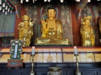 유여-buddhism~에 있는 핀