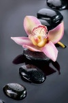 ZEN에 관한 290개의 최상의 Pinterest 이미지 | 일본 정원, 젠 정원 및 부처 ZEN