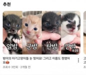 유튭 어떤 캣대디의 하늘이 구조스토리(feat.범이백이) 유튭 어떤 캣대디의 하늘이 구조스토리(feat.범이백이) | 25th