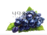 대전 나다움 미술학원 : 네이버 블로그 포도송이#포도기초디자인#포도개체묘사#포도그리기#입시미술