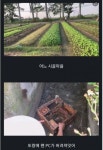 어느 금손의 컴퓨터 줍줍