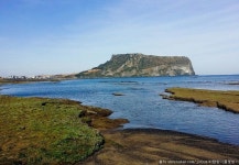 광치기해변 : 제주도 동쪽바다 아름다운 성산일출봉을 바라 보는 해변 | 해변, 바닷가, 아름다운