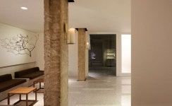 편강한의원 대구점 - STUDIVASE