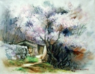 Pin by 이란경 on 수채화 | Painting, Drawings, Drawing studies