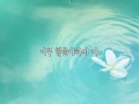 너무 힘들어하지 마 | 명언, 말