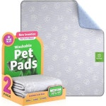 Pin by 정민 안 on 반려견 in 2024