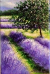 La bicyclette bleue (Acrylic) 5X7in Oeuvre réalisée par Andrée Casaubon #flowers #flowers #acuarela | 풍경 그림, 배경, 캔버스... 