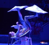 열화같은 위인흠모의 세계를 펼친 경축의 무대 -제31차 4월의 봄 친선예술축전 2일공연 진행-