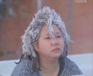 Pin page Pin on 돈세노 | Funny photos, Funny memes, Hilarious